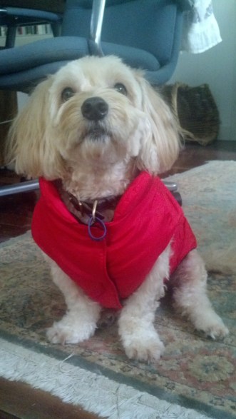 IMG_20140307_101025_472