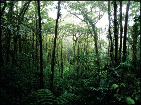 www empiricalmag blogspot com